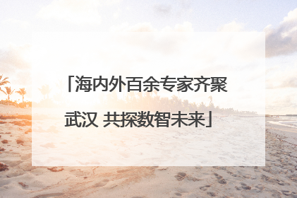 海内外百余专家齐聚武汉 共探数智未来