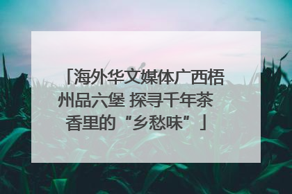海外华文媒体广西梧州品六堡 探寻千年茶香里的“乡愁味”