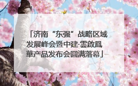 济南“东强”战略区域发展峰会暨中建·雲啟鳳華产品发布会圆满落幕
