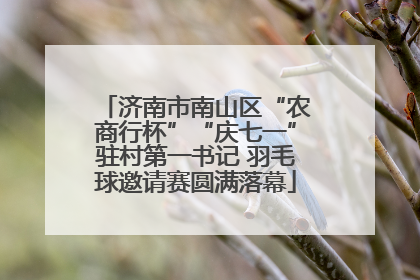 济南市南山区“农商行杯”“庆七一”驻村第一书记 羽毛球邀请赛圆满落幕