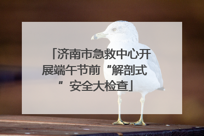 济南市急救中心开展端午节前“解剖式”安全大检查