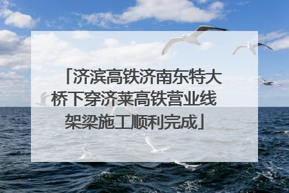 济滨高铁济南东特大桥下穿济莱高铁营业线架梁施工顺利完成