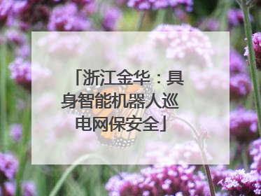 浙江金华：具身智能机器人巡电网保安全