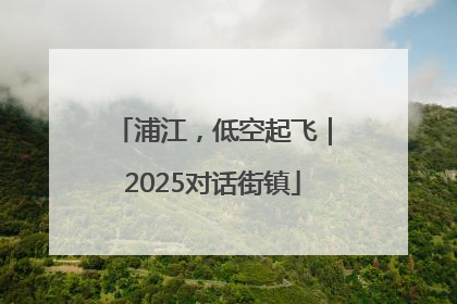 浦江，低空起飞｜2025对话街镇