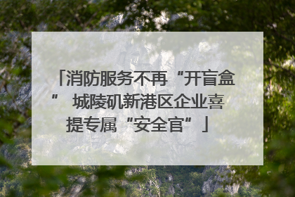 消防服务不再“开盲盒” 城陵矶新港区企业喜提专属“安全官”