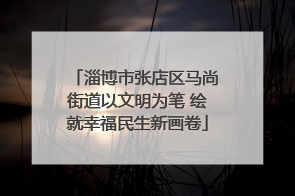淄博市张店区马尚街道以文明为笔 绘就幸福民生新画卷