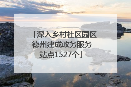 深入乡村社区园区 德州建成政务服务站点1527个