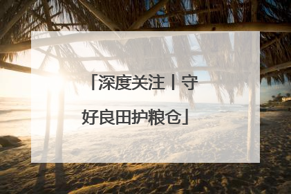 深度关注丨守好良田护粮仓