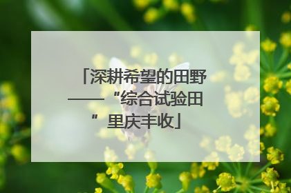 深耕希望的田野——“综合试验田”里庆丰收