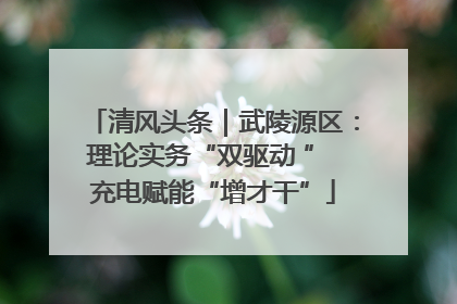 清风头条｜武陵源区：理论实务“双驱动 ” 充电赋能“增才干”