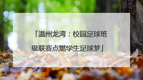 温州龙湾：校园足球班级联赛点燃学生足球梦