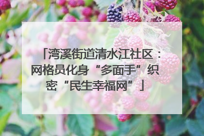 湾溪街道清水江社区：网格员化身“多面手”织密“民生幸福网”