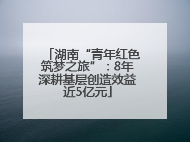 湖南“青年红色筑梦之旅”：8年深耕基层创造效益近5亿元