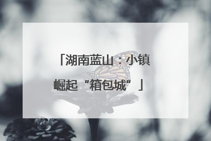 湖南蓝山：小镇崛起“箱包城”
