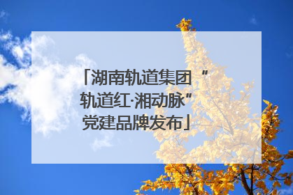 湖南轨道集团“轨道红·湘动脉”党建品牌发布