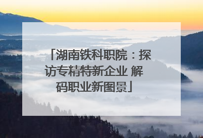湖南铁科职院：探访专精特新企业 解码职业新图景