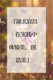 湖北宜昌：在实践中体验美、创造美