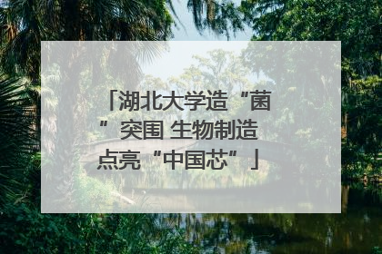湖北大学造“菌”突围 生物制造点亮“中国芯”