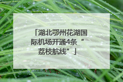 湖北鄂州花湖国际机场开通4条“荔枝航线”