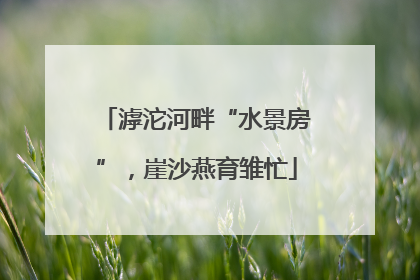 滹沱河畔“水景房”，崖沙燕育雏忙