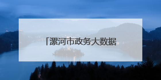 漯河市政务大数据中心：“云”上约农机 服务有保障
