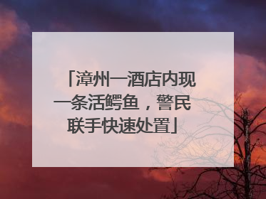 漳州一酒店内现一条活鳄鱼，警民联手快速处置