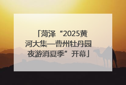 菏泽“2025黄河大集—曹州牡丹园夜游消夏季”开幕