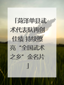 菏泽单县武术代表队再创佳绩 持续擦亮“全国武术之乡”金名片