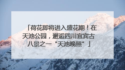荷花即将进入盛花期！在天池公园，邂逅四川宜宾古八景之一“天池晚照”