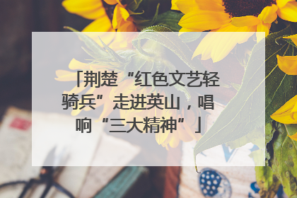 荆楚“红色文艺轻骑兵”走进英山，唱响“三大精神”