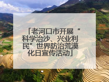 老河口市开展“科学治沙、兴业利民”世界防治荒漠化日宣传活动