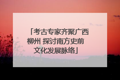 考古专家齐聚广西柳州 探讨南方史前文化发展脉络