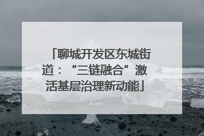 聊城开发区东城街道：“三链融合”激活基层治理新动能