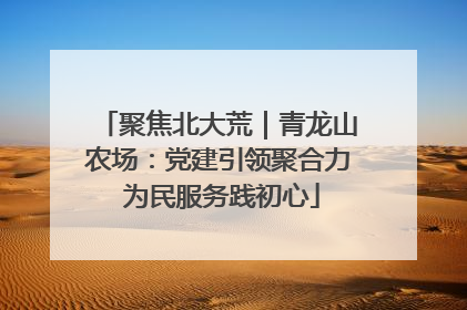 聚焦北大荒｜青龙山农场：党建引领聚合力 为民服务践初心