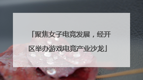聚焦女子电竞发展，经开区举办游戏电竞产业沙龙
