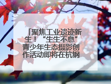 聚焦工业遗迹新生！“生生不息”青少年生态摄影创作活动即将在杭钢公园启动