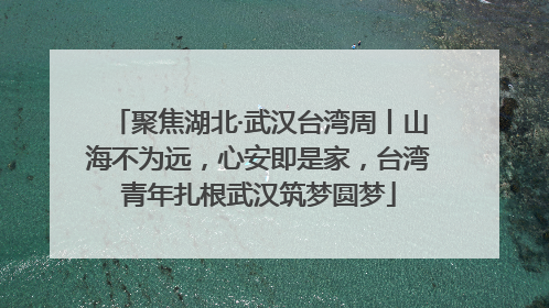 聚焦湖北·武汉台湾周丨山海不为远，心安即是家，台湾青年扎根武汉筑梦圆梦