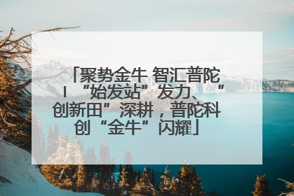 聚势金牛 智汇普陀〡“始发站”发力、“创新田”深耕，普陀科创“金牛”闪耀