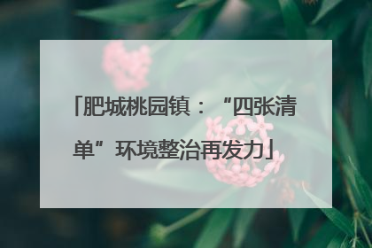 肥城桃园镇：“四张清单”环境整治再发力