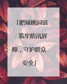 肥城桃园镇：筑牢防汛屏障，守护群众安全