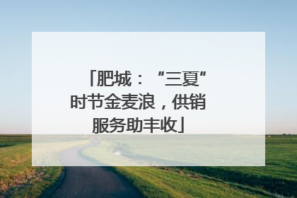 肥城：“三夏”时节金麦浪，供销服务助丰收