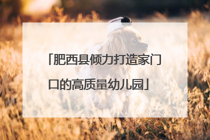 肥西县倾力打造家门口的高质量幼儿园