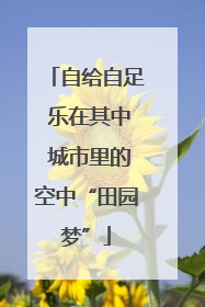 自给自足 乐在其中 城市里的空中“田园梦”
