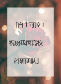 自主可控！祝贺我国高校科研团队