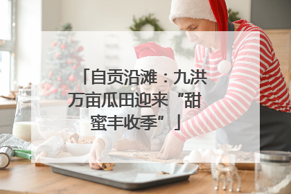 自贡沿滩：九洪万亩瓜田迎来“甜蜜丰收季”