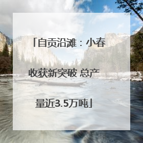 自贡沿滩：小春收获新突破 总产量近3.5万吨