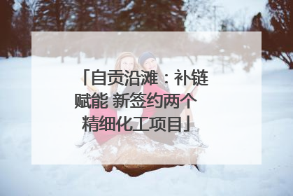 自贡沿滩：补链赋能 新签约两个精细化工项目