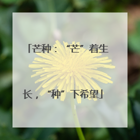 芒种：“芒”着生长，“种”下希望