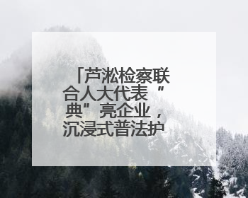 芦淞检察联合人大代表“典”亮企业，沉浸式普法护航小微发展