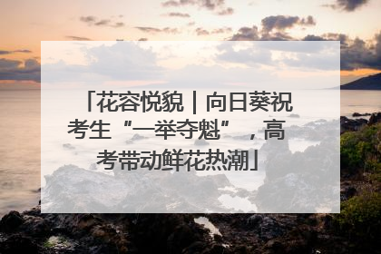 花容悦貌｜向日葵祝考生“一举夺魁”，高考带动鲜花热潮